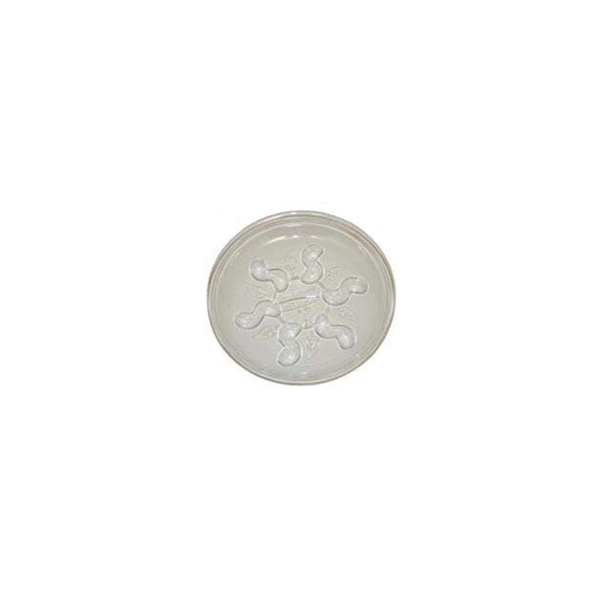 Gardener’S Blue Ribbon Saucer Plus 12″-Clear