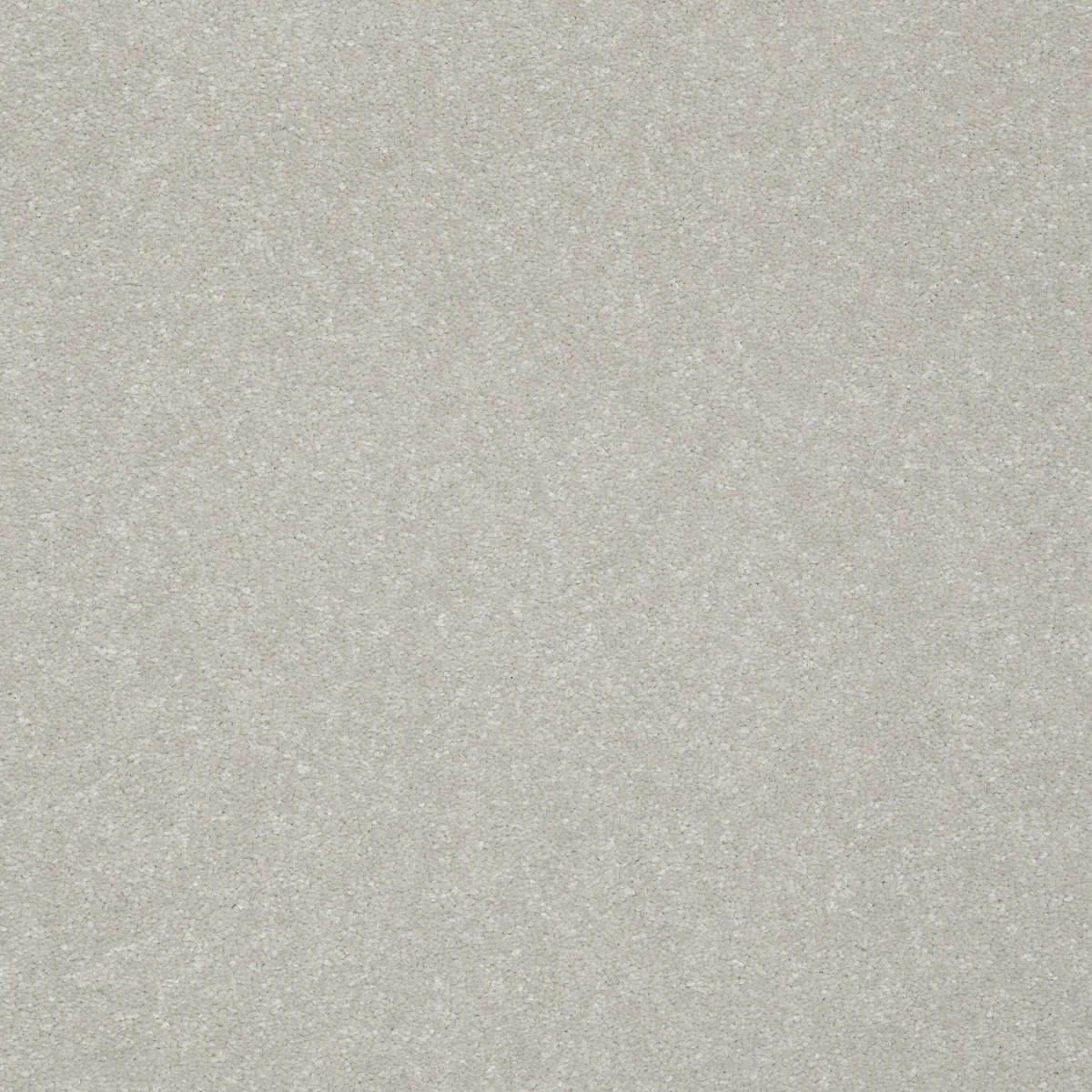 STAINMASTER Essentials Intuition III 12-ft Washed Linen Textured Carpet Sample (Interior)
