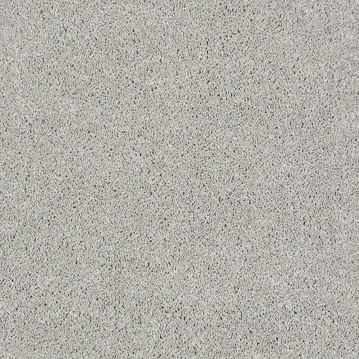 STAINMASTER PetProtect Baxter II Gizmo Textured Indoor Carpet, 12-ft Roll Width
