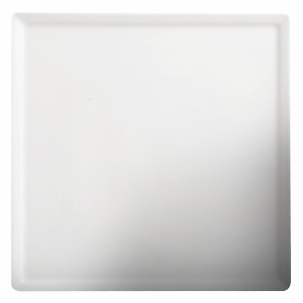 Cameo Square Flat Square Plate, 8" (18-pack)